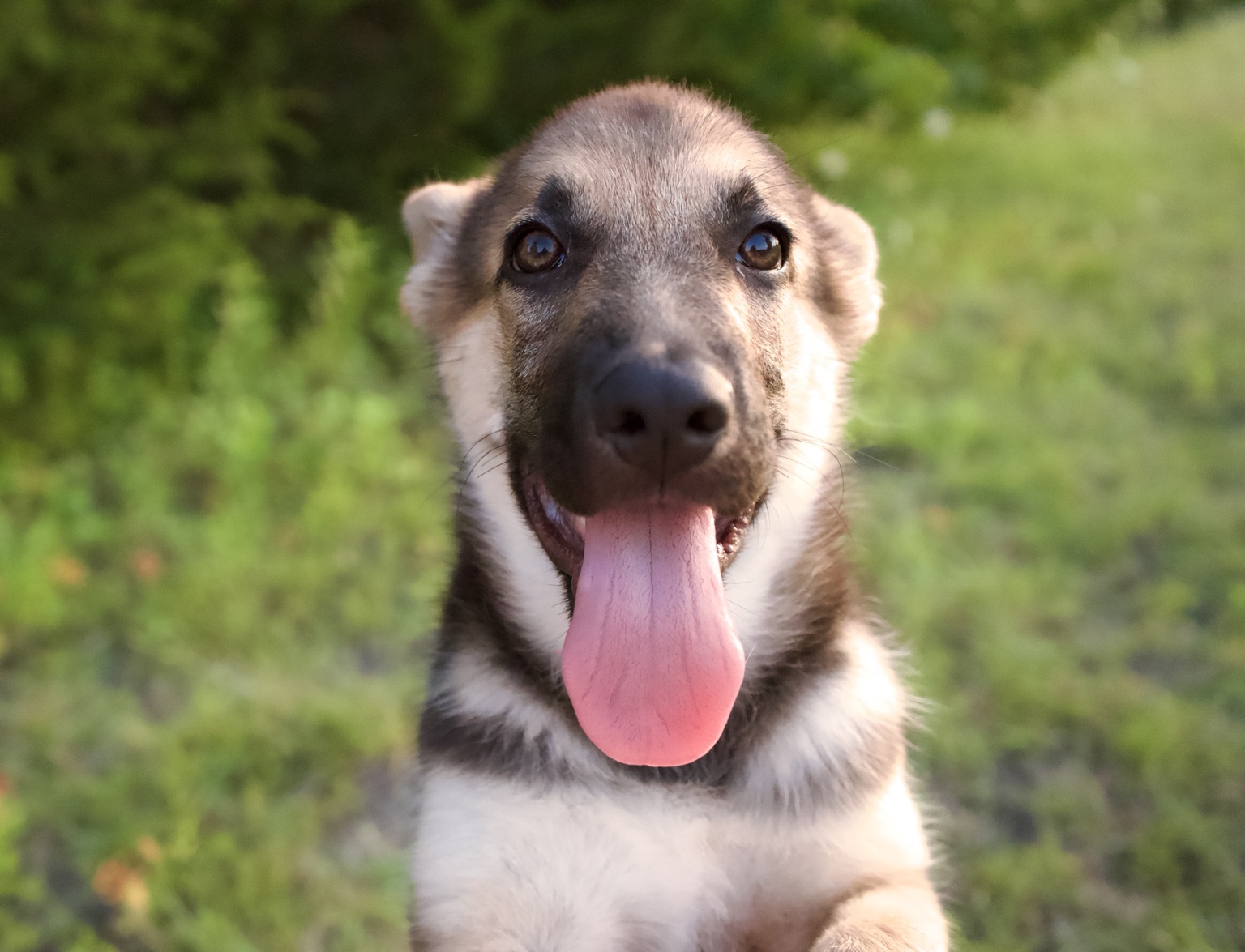 A close-up of Tifa with her tongue out
